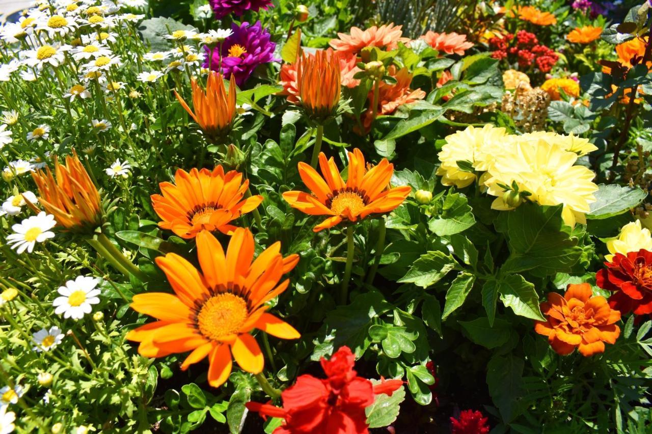 Bed & Breakfast Garden Terrace 3*